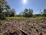 #3: A view to the east from the confluence.