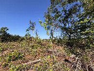 #5: A view to the west from the confluence point.