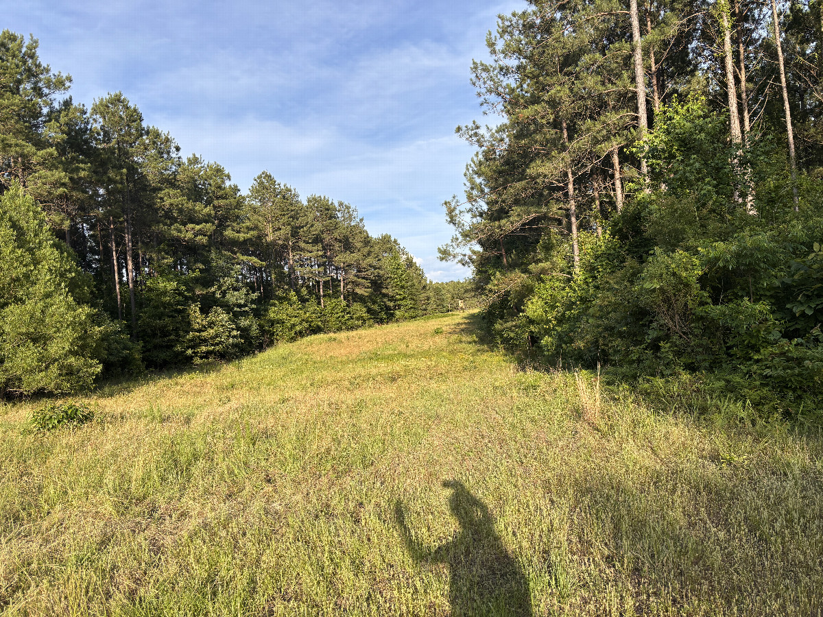 Journey's start: Powerline right of way. 