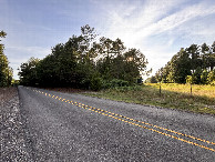 #11: Nearest road to the confluence point, looking west. 