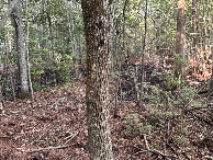 #4: A view to the south from the confluence.