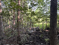 #5: A view to the west from the confluence point.