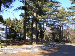 #1: 42 North 71 West, in the foreground, looking northeast.