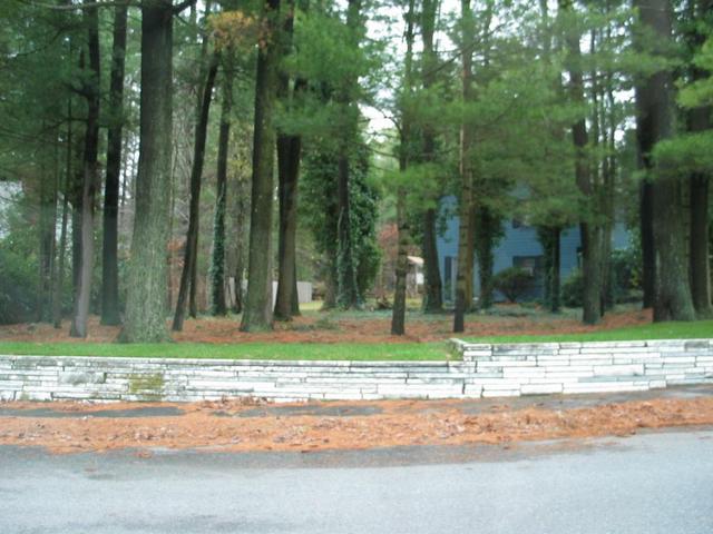 Looking north across the street from the confluence..