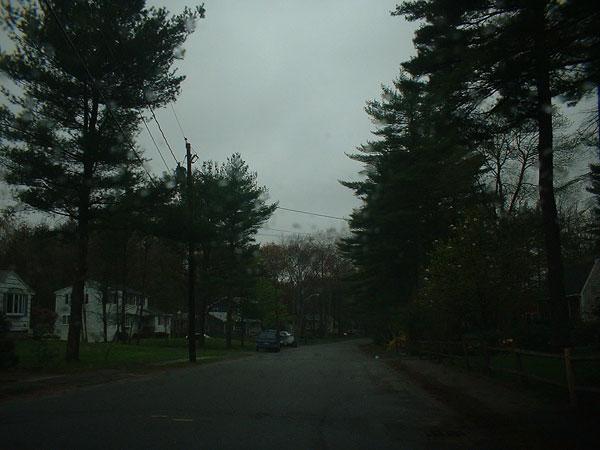 Looking east from the confluence.