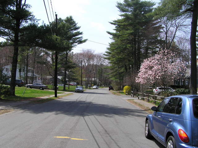 View to the west from the confluence.