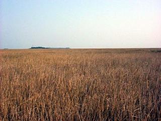 #1: View to the North - Lookout Tower in the distance