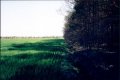 Visit #1: [15-Aug-98]