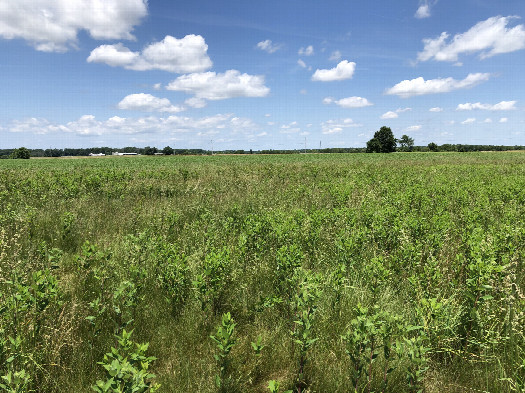 #1: The Confluence from 10 m Distance