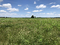 #4: View to the North