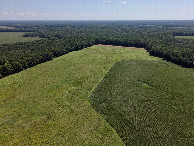 #10: View South, from 120m above the point