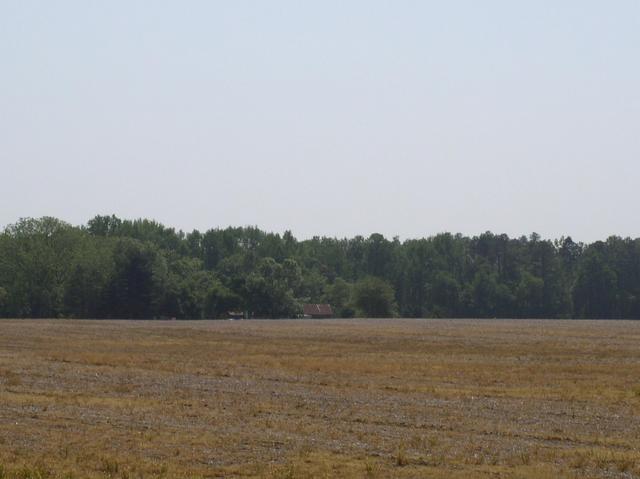 The Field