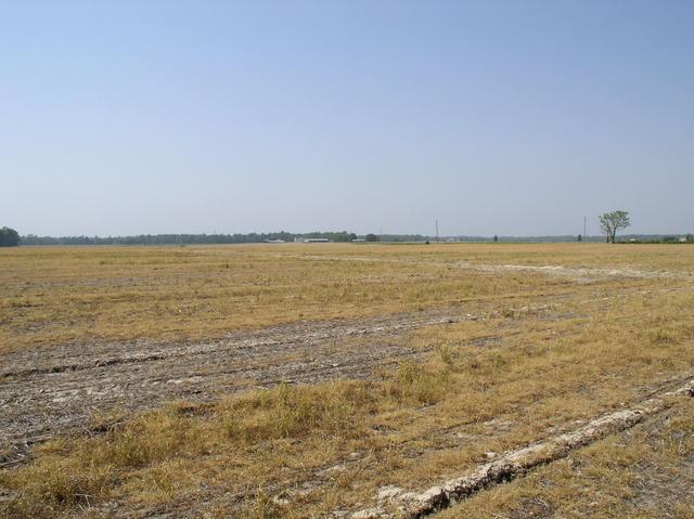 North