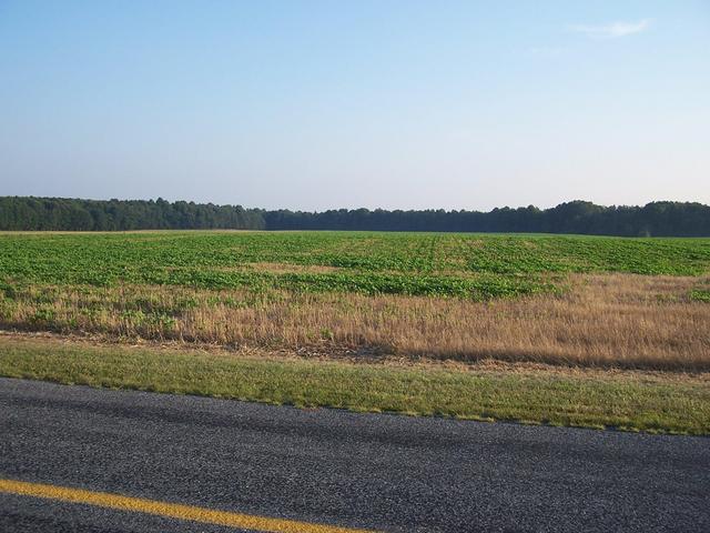 Overview looking South from Little Eagle Road.