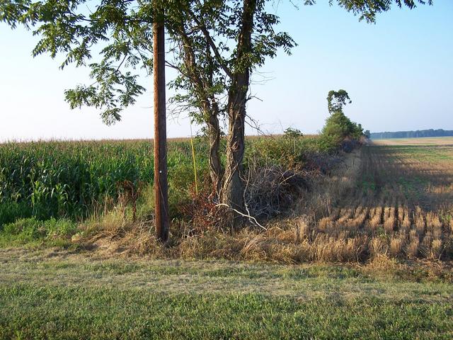 Looking North from Little Eagle Road.