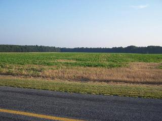 #1: Overview looking South from Little Eagle Road.