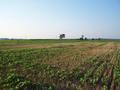 #2: The view North from the confluence.