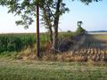 #8: Looking North from Little Eagle Road.