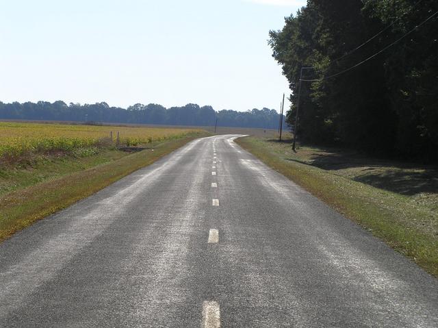 View along the nearest road, 300 meters from the confluence, looking south.