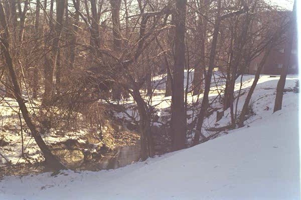 A view of winding Long Branch Creek