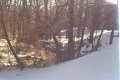 #2: A view of winding Long Branch Creek