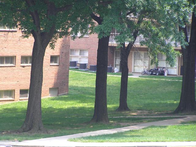 Site of 39 North 77 West from library; the closest approach is the sunny spot behind the left tree.