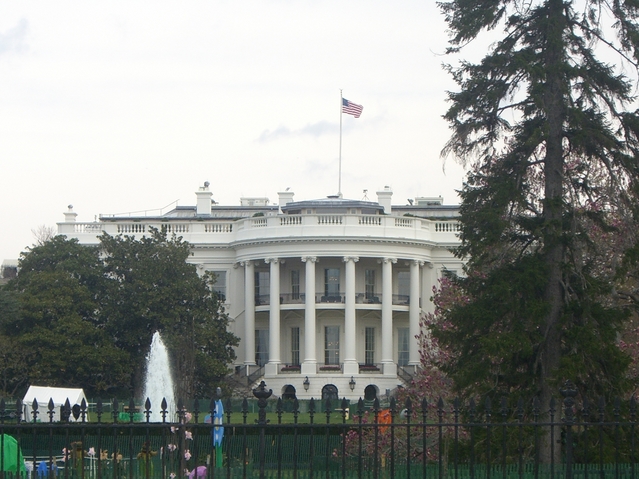 Cherry blossom season in Washington DC