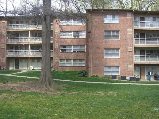 North View