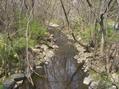 #6: Sligo Creek