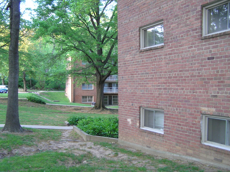 View to the northeast from the confluence point.