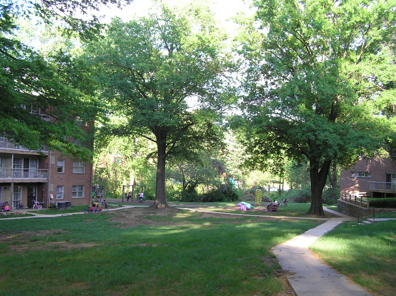 View to the east from the confluence.