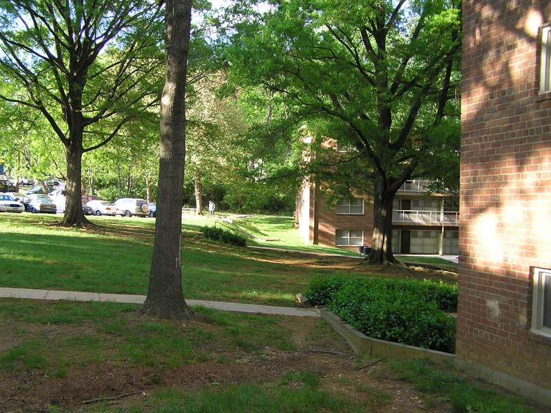 View to the north from the confluence.