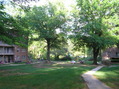 #6: View to the east from the confluence.