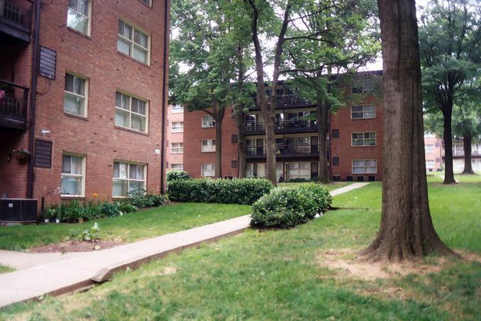 Flower Brtanch Apartments, view west from confluence.