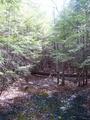 #2: South