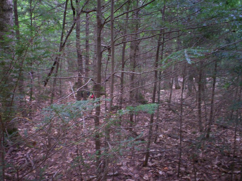 West from the confluence