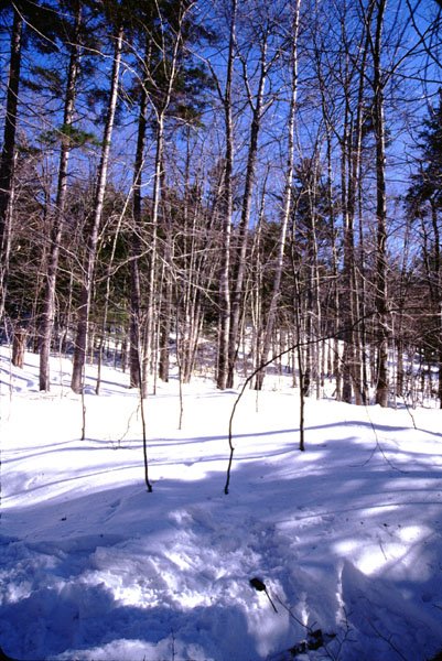 Looking east.  GPS at bottom center is the confluence point