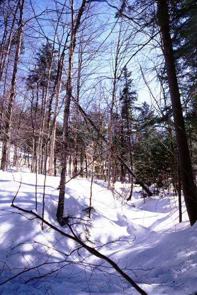 Looking south, downstream