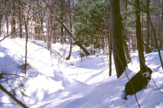 #1: Looking north along a snowy stream bed