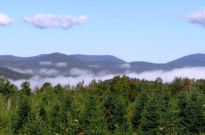 Confluence locale from 1 km to the east