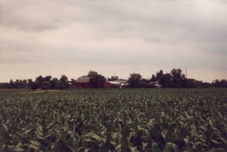 #1: The corn field, with farm buildings