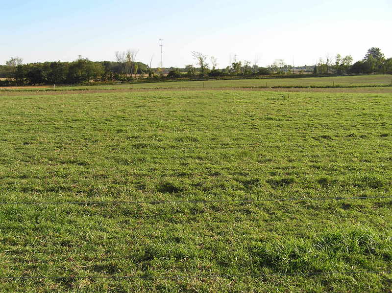 View of the confluence of 42 North 84 West, in the mid-distance of this field, looking due south.