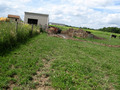 #6: Local pasture residents having lunch while I visited the confluence location.