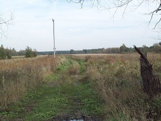 #1: Confluence near the tree at center of picture