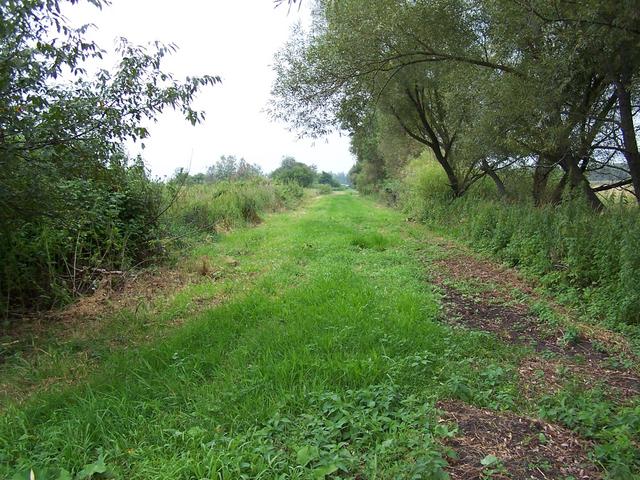 We walked about 550 m along this cleared pathway.