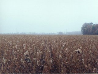 #1: Looking north over lots of field