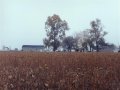 #2: A home along the eastern edge of the field
