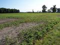 #6: Overview looking NE from Highway 21, 76 m from the confluence.
