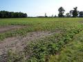 #6: Overview looking NE from Highway 21, 76 m from the confluence.