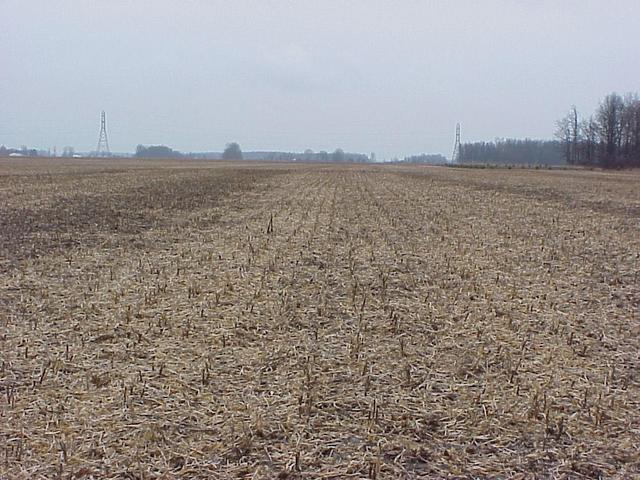 View to the north from the confluence.